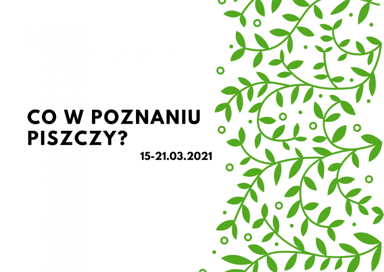 Co w Poznaniu piszczy?