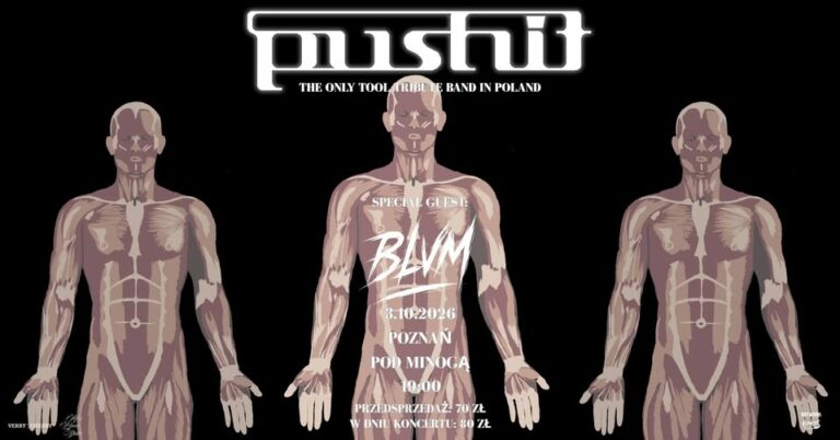 PUSHIT TOOL tribute band & BLVM